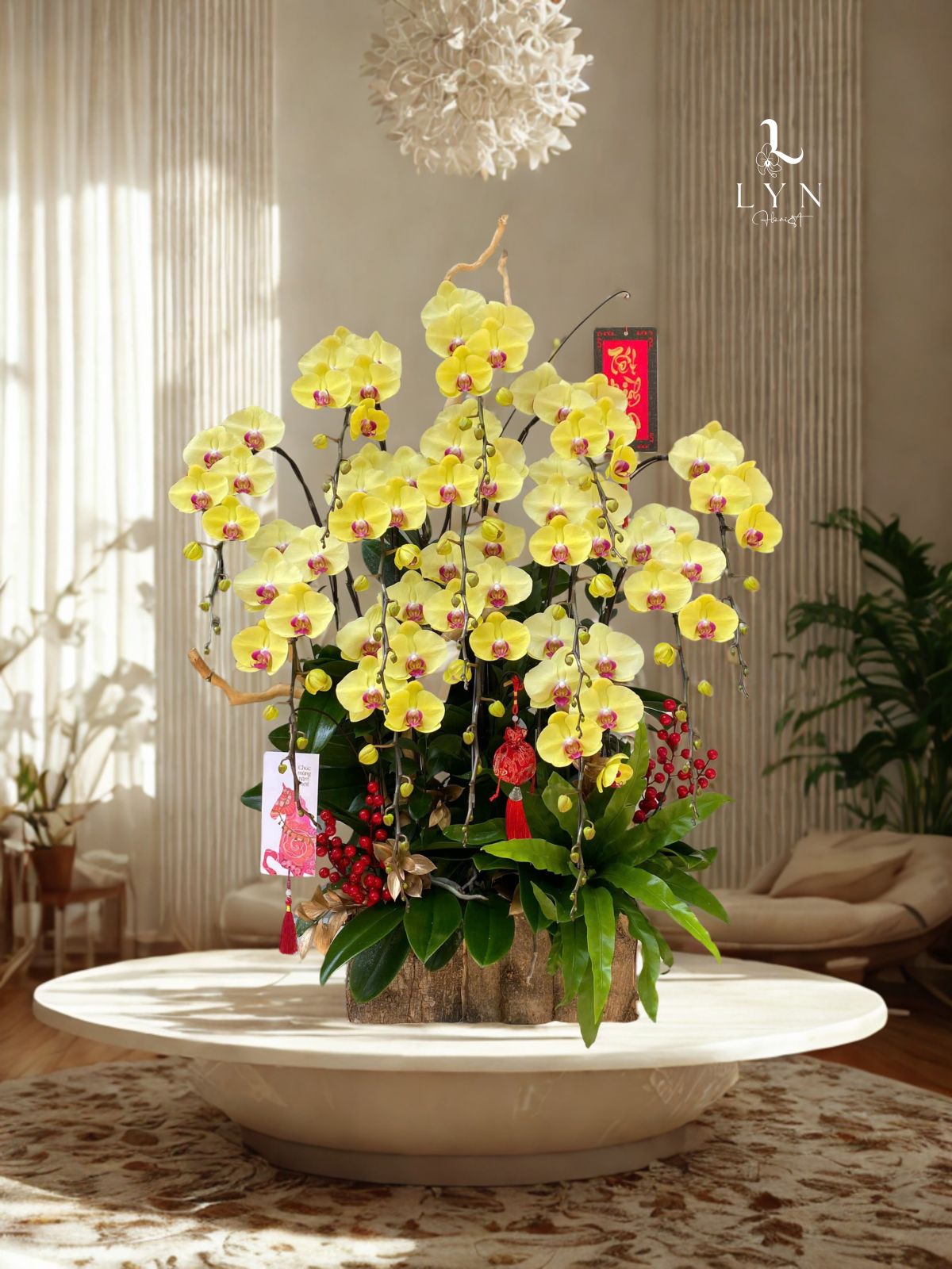 Chậu Hoa Lan Vàng TẾT